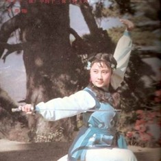 侠女十三妹