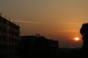 中南林业科技大学涉外学院