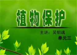 植物保护专业