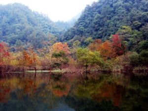 附近景点