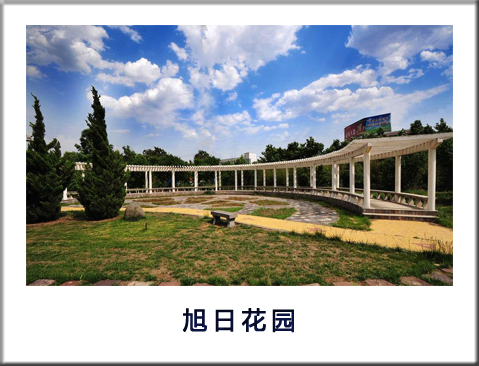旭日花园