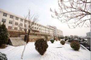 校园雪景