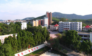 广东金融学院