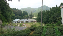 小坪森林公园