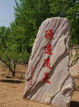 校园风景