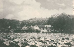 新民学会