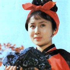 侠女十三妹