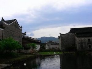 乐安县