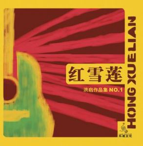 洪启