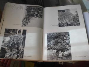 《苏州古典园林》