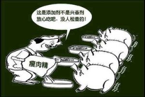 瘦肉精事件