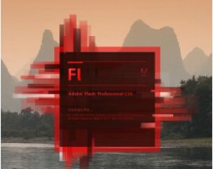 Adobe Flash CS6