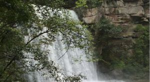 黄荆自然生态旅游区