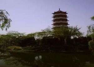 丰县
