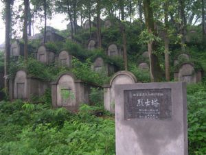 湛江县