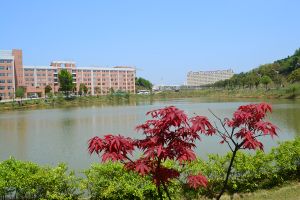 中南林业科技大学涉外学院