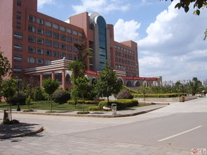 云南财经大学