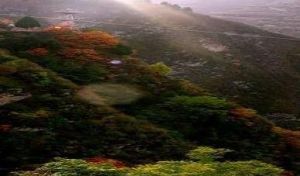 附近景点