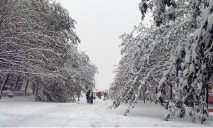 校园雪景