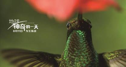 蜂鸟