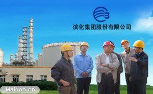 滨化集团股份有限公司领导
