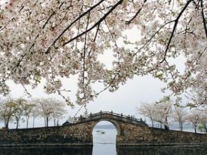 溱东镇