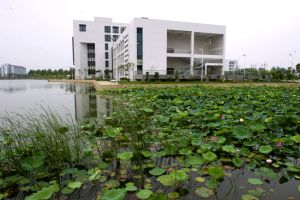 学校风光