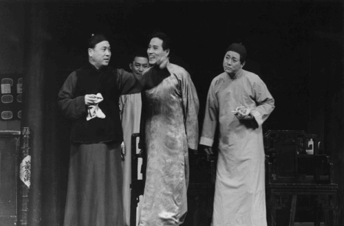 杨立新在舞台上的表演