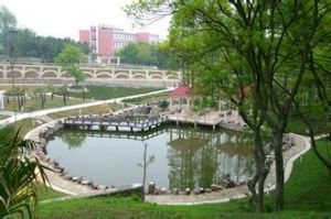 江苏科技大学
