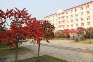 内蒙古建筑职业技术学院