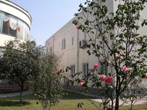 学校风光
