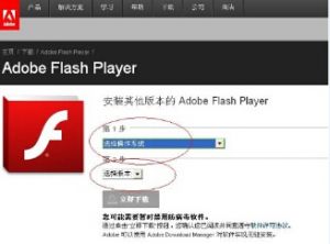 Adobe Flash Player