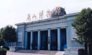 附近景点