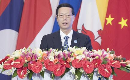 张高丽