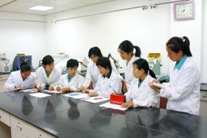 技术中心