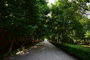 华东交通大学理工学院