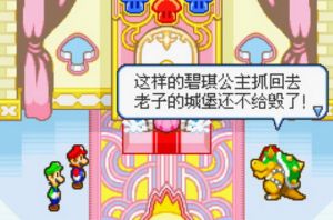 马里奥与路易RPG2 