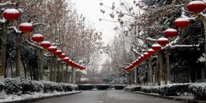 学校风光