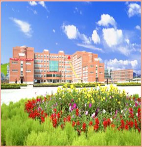 宝鸡文理学院