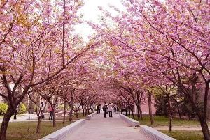 河南农业大学