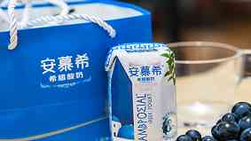 安慕希什么意思