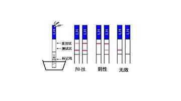 试纸的使用方法