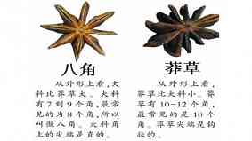真假八角的区别