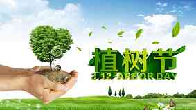 江直树是什么意思