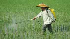 除草剂的作用方式 除草剂的作用方式