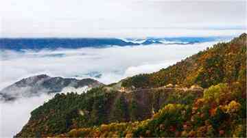 大巴山和秦岭的区别 大巴山和秦岭的区别