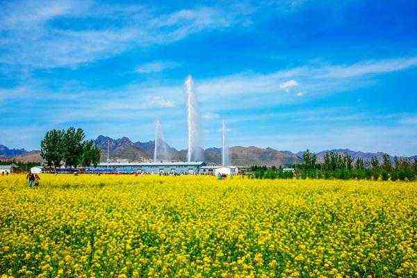 2023保定附近油菜花景点推荐（狼牙山油菜花园攻略）