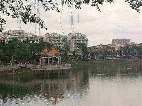 波海公园（广东省肇庆市波海公园）