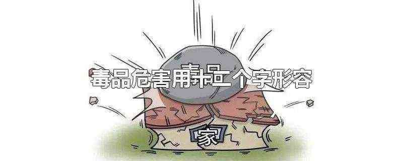 毒品危害用十二个字形容