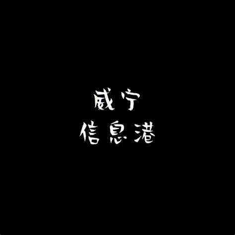 威宁信息港（威宁信息平台）